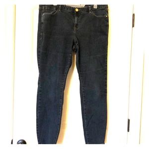 Lane Bryant Genius Fit Skinny Jeans - Light wear